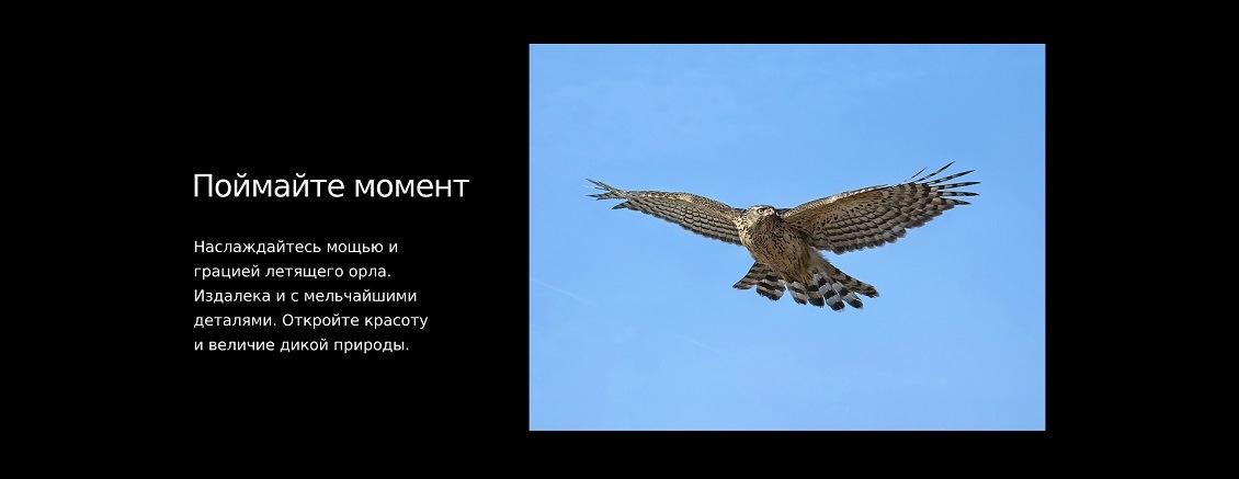 HUAWEI P60 Pro Поймайте момент