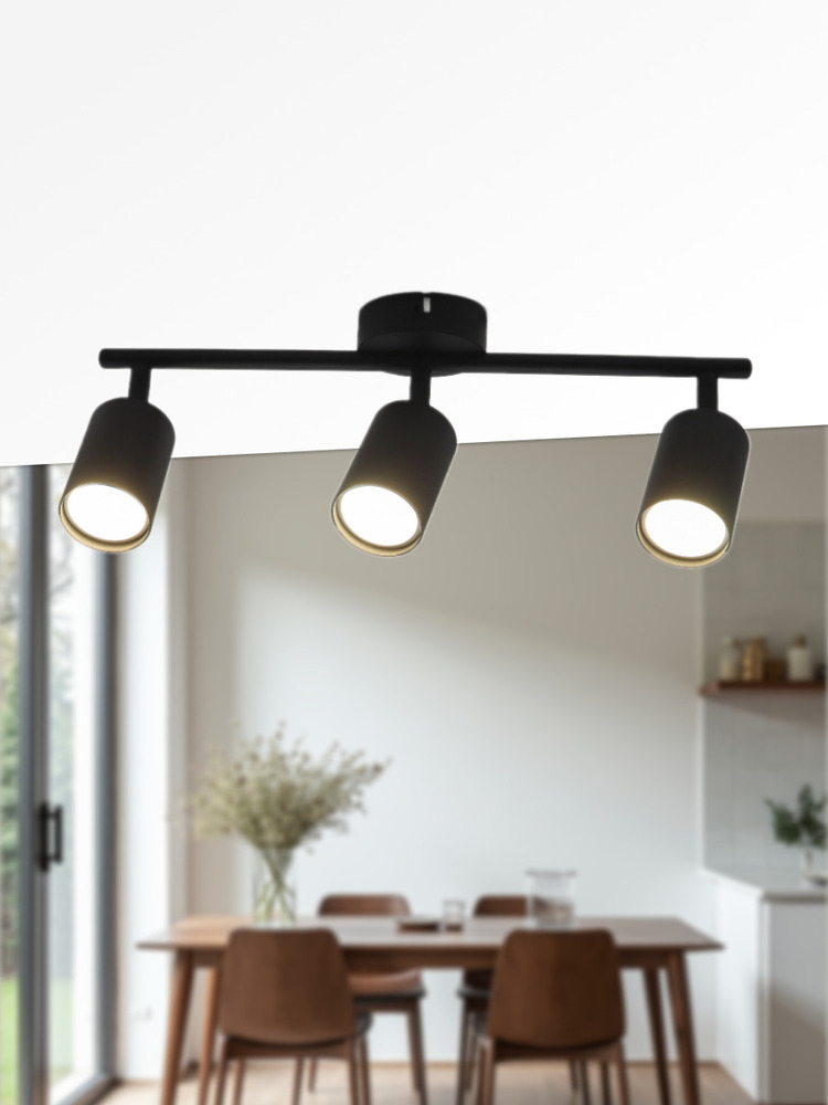 Светильник накладной поворотный TRUENERGY 21461 пример 1