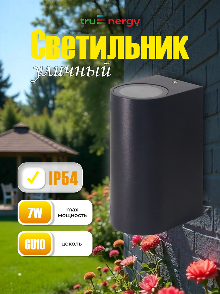 Фасадный светильник TruEnergy 26008 основная