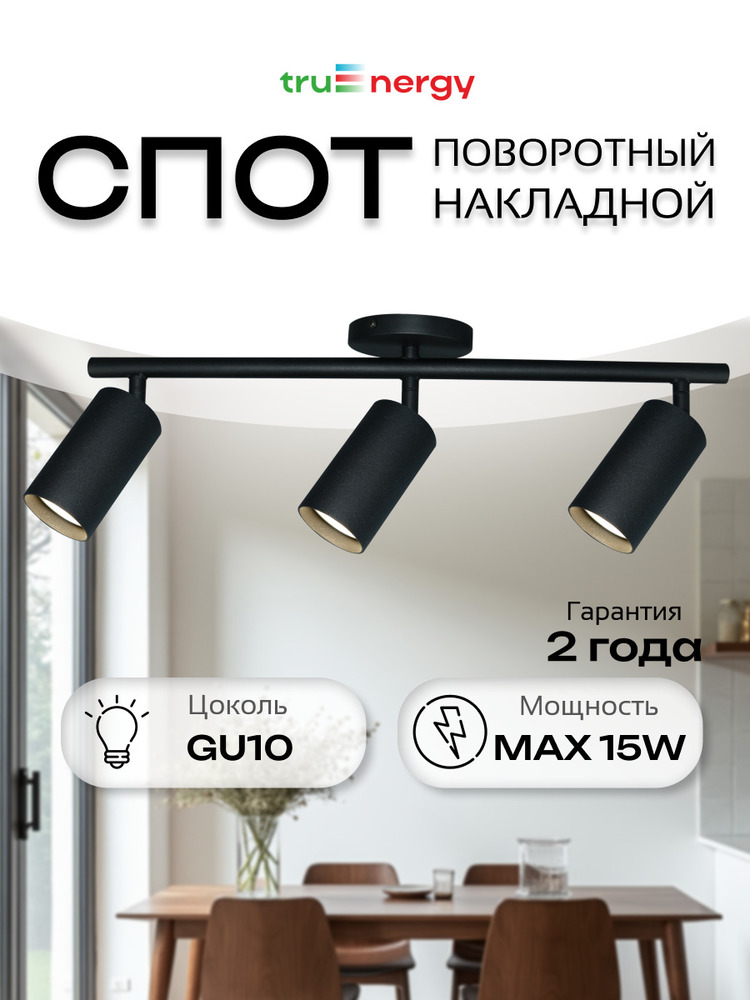 Светильник накладной поворотный TRUENERGY 21461 основная