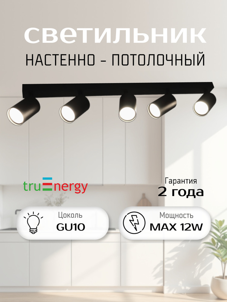 Светильник TRUENERGY MODERN 21372  основная