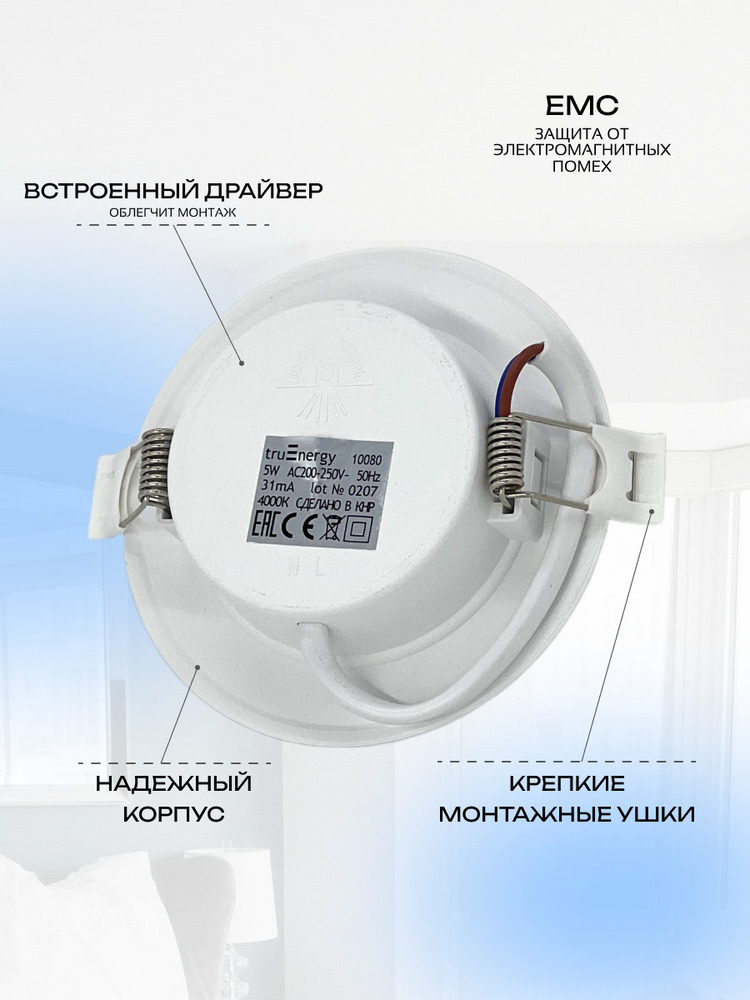 Светильник TruEnergy 10080 ЕМС