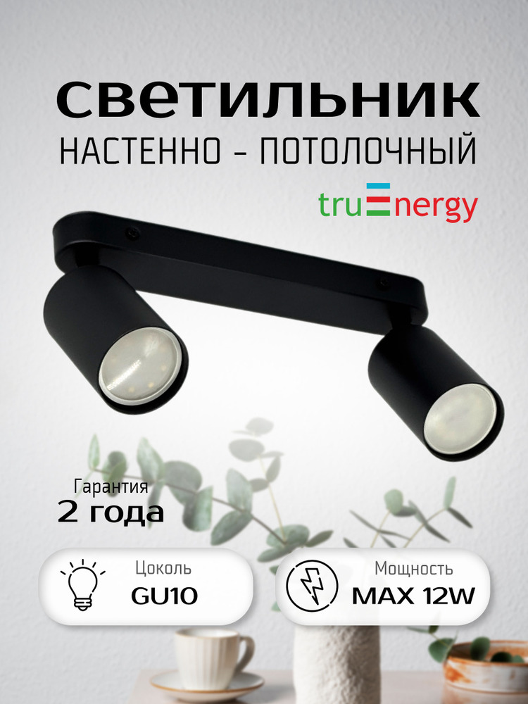 Точечный светильник TruEnergy 21360 основная