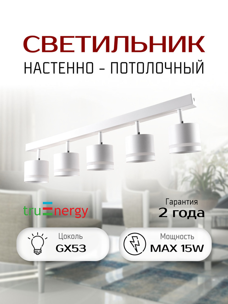 Светильник TruEnergy 21023 основная