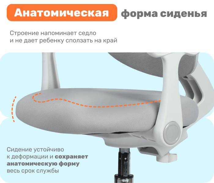 анатомическая форма