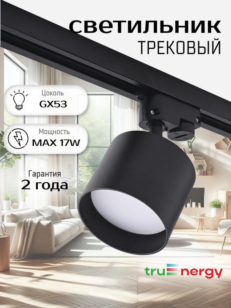Трековый светильник TruEnergy 21124 основная