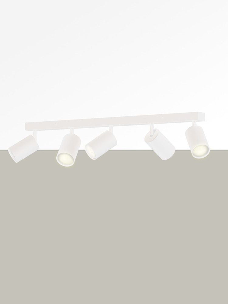 Светильник TRUENERGY MODERN 21371  пример 1