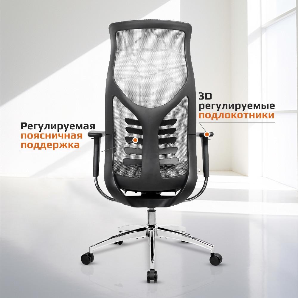 EVOLUTION FISHBONES PRO Black Поясничная поддержка