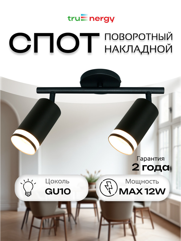 Светильник накладной поворотный TRUENERGY 21462  основная