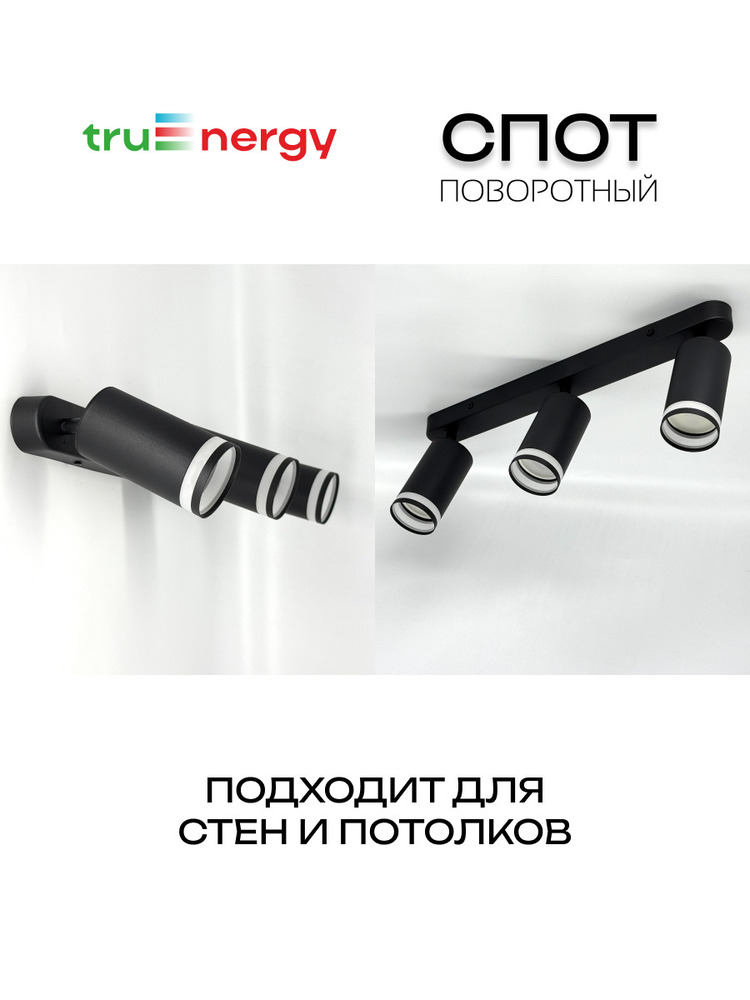 Точечный светильник TruEnergy 21366 основная