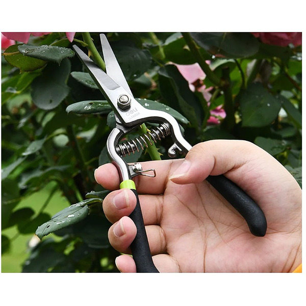 Ножницы садовые Deli EDL580421