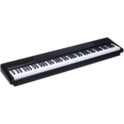 Цифровое пианино Medeli SP-C120