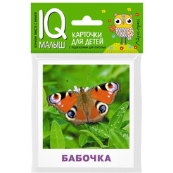 Набор карточек АЙРИС-ПРЕСС Умный малыш Насекомые (978-5-8112-6504-6)