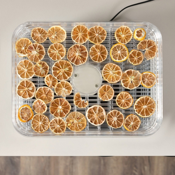 Сушилка для овощей и фруктов Scarlett SC-FD421T19