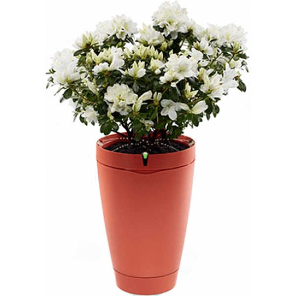 Умный горшок для растений Parrot POT (PF901011), красный