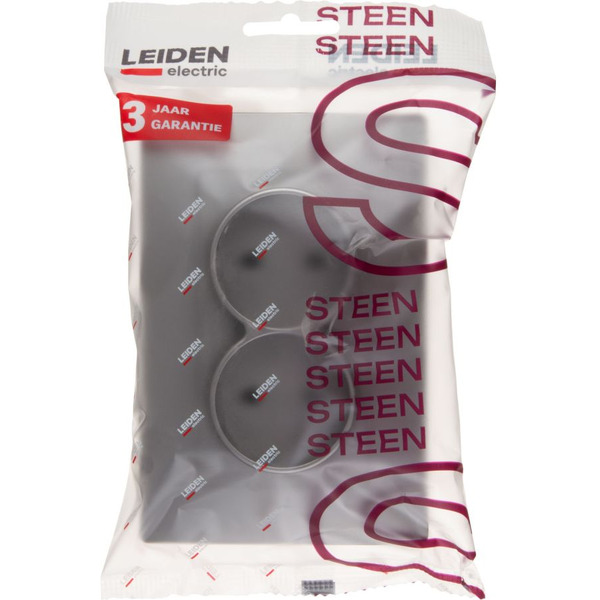 Розетка Leiden Electric Steen 806077