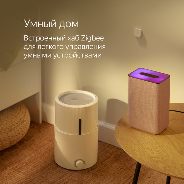 Умная колонка Яндекс.Станция 2 YNDX-00051K (антрацит)