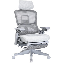 Кресло компьютерное EVOLUTION ZX 1