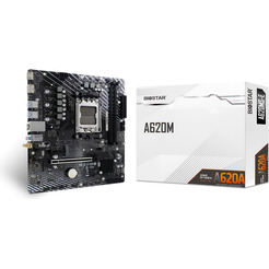 Материнская плата BIOSTAR A620MS-E