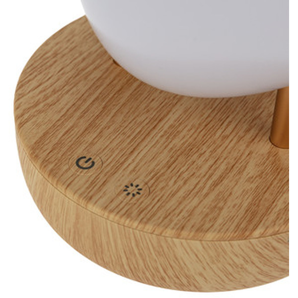 Интерьерный светильник NEON-NIGHT Тукан 503-059