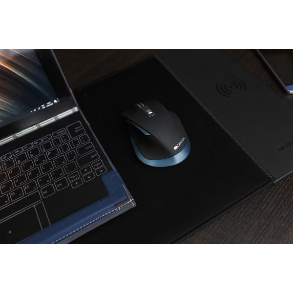 Мышь Canyon CNS-CMSW14DG