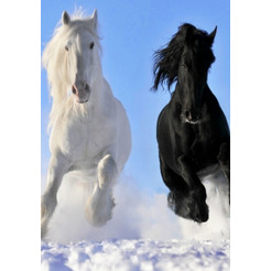 Инфракрасный обогреватель ОАО "БРТЗ" Дыхание тепла 19с425