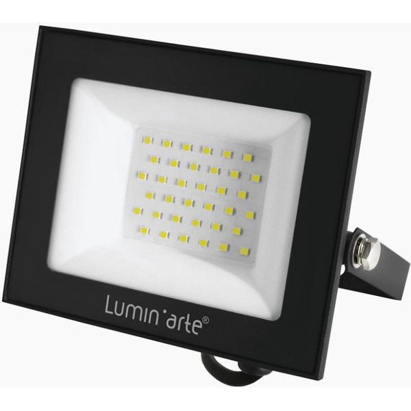 Прожектор Luminarte LFL-50W/06
