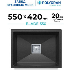 Кухонная мойка POLYGRAN Blade 550 Черный №16 72685016