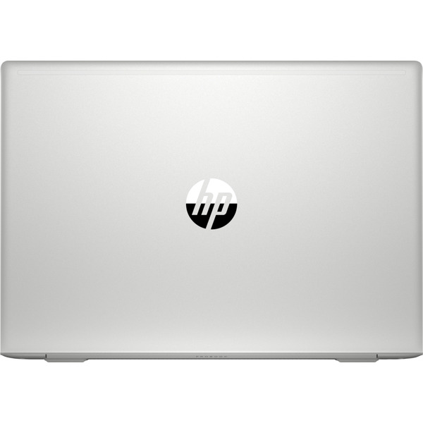 Ноутбук HP ProBook 445 G7 (7RX17AV)