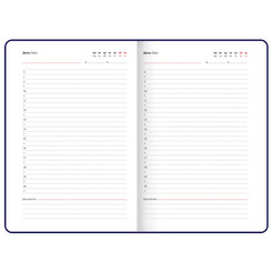 Ежедневник BRAUBERG Sirius 116212