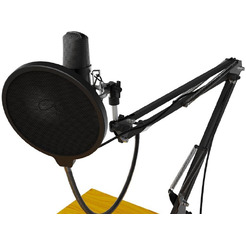 Микрофон Ritmix RDM-169