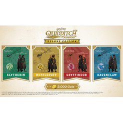 Игра Harry Potter: Quidditch Champions Deluxe Edition для PlayStation 4