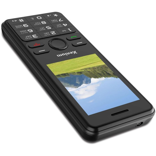 Мобильный телефон Xenium X280 (черный)