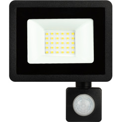 Уличный прожектор ЭРА LPR-042-2-65K-030