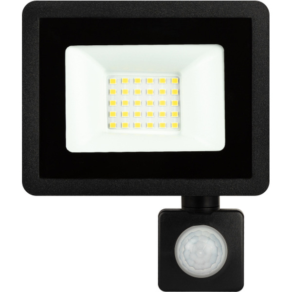 Уличный прожектор ЭРА LPR-042-2-65K-030