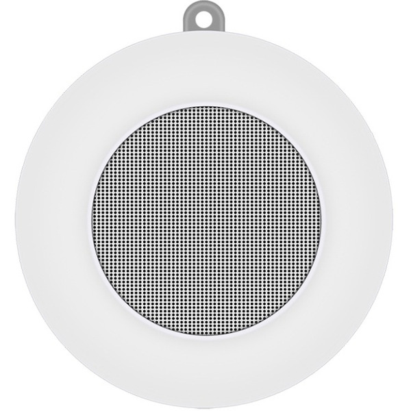 Беспроводная колонка Evolution X1