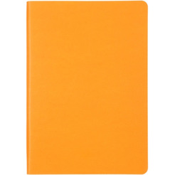Ежедневник НАППА НЕОНОВО-ОРАНЖЕВЫЙ 45278/А5, 272стр. ФЕНИКС