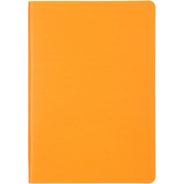 Ежедневник НАППА НЕОНОВО-ОРАНЖЕВЫЙ 45278/А5, 272стр. ФЕНИКС