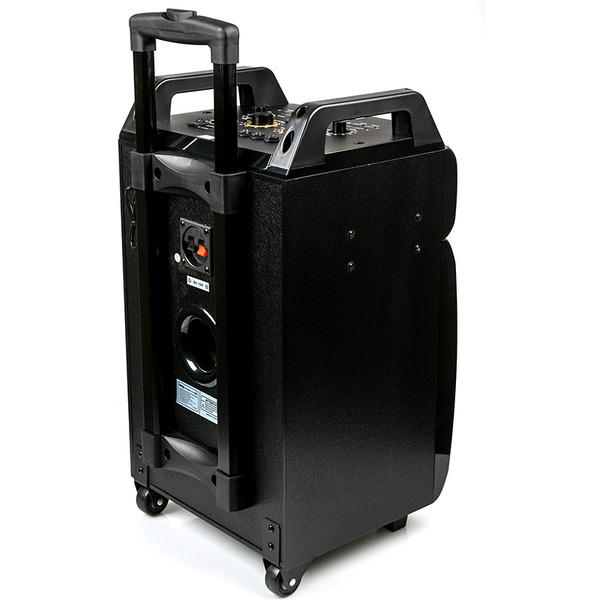 Акустическая портативная колонка Dialog Oscar AO-210