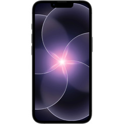 Смартфон Apple iPhone 17e 256GB MHRV4ZA/A (черный)