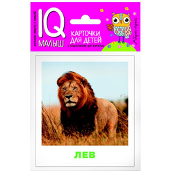 Набор карточек АЙРИС-ПРЕСС Умный малыш Животные жарких стран (978-5-8112-6447-6)