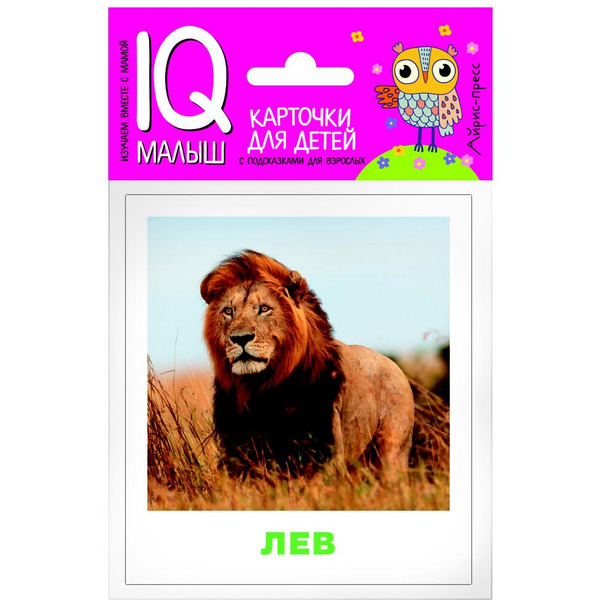 Набор карточек АЙРИС-ПРЕСС Умный малыш Животные жарких стран (978-5-8112-6447-6)