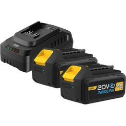 Комплект аккумуляторных батарей и зарядного устройства DELI EDE-CM20A4E (2х4.0А/ч, ЗУ 2А)