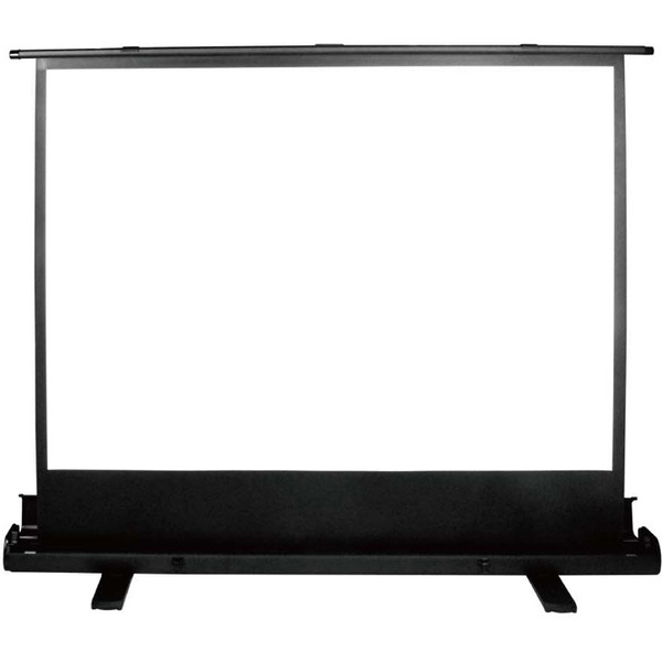 Экран CACTUS FloorExpert CS-PSFLE-120X68