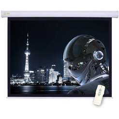 Проекционный экран CACTUS Motoscreen CS-PSM-124x221