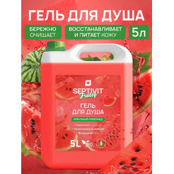 Гель для душа SEPTIVIT Арбузный лимонад (5л)