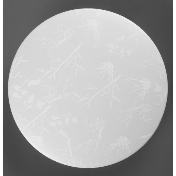 Светильник General Lighting Systems Plant GSMCL-020-24 800261