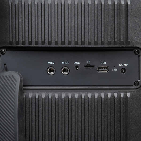 Колонка для вечеринок Dialog Oscar AO-300