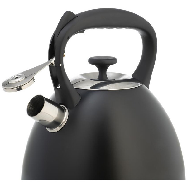 Чайник LARA LR00-74