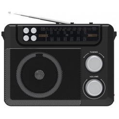 Радиоприемник Ritmix RPR-200 Black